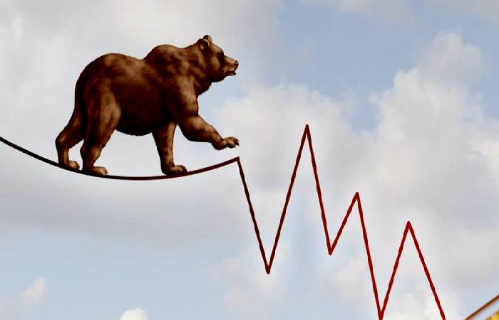 Stock Markets undergo a bear rally after bull run