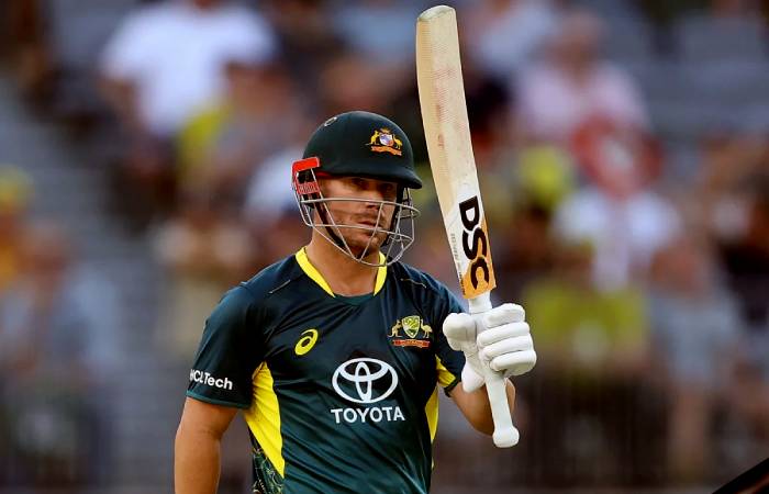 David Warner looked like taking Aus to winning shores