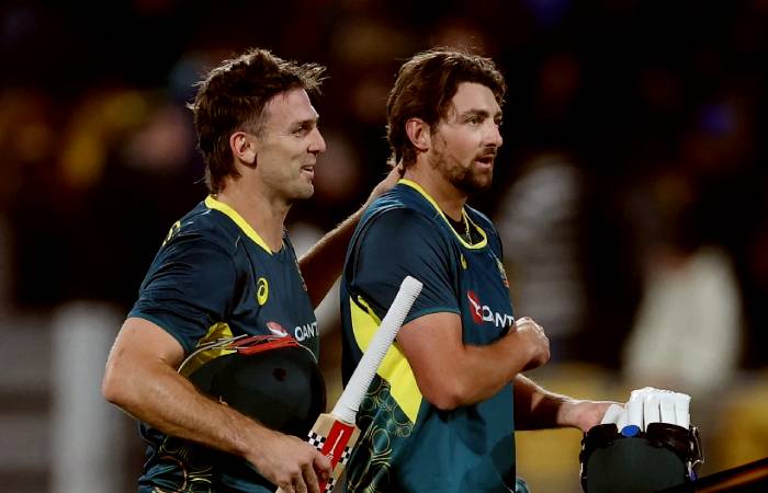 Tim David helps Australia win the last ball thriller against NZ