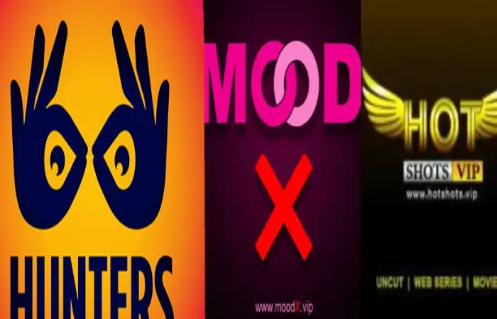 These OTT platforms have been continuously producing obscene content