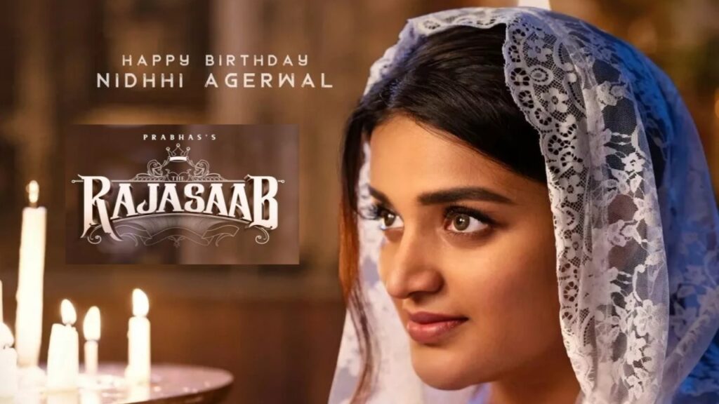 Nidhhi Agerwal birthday