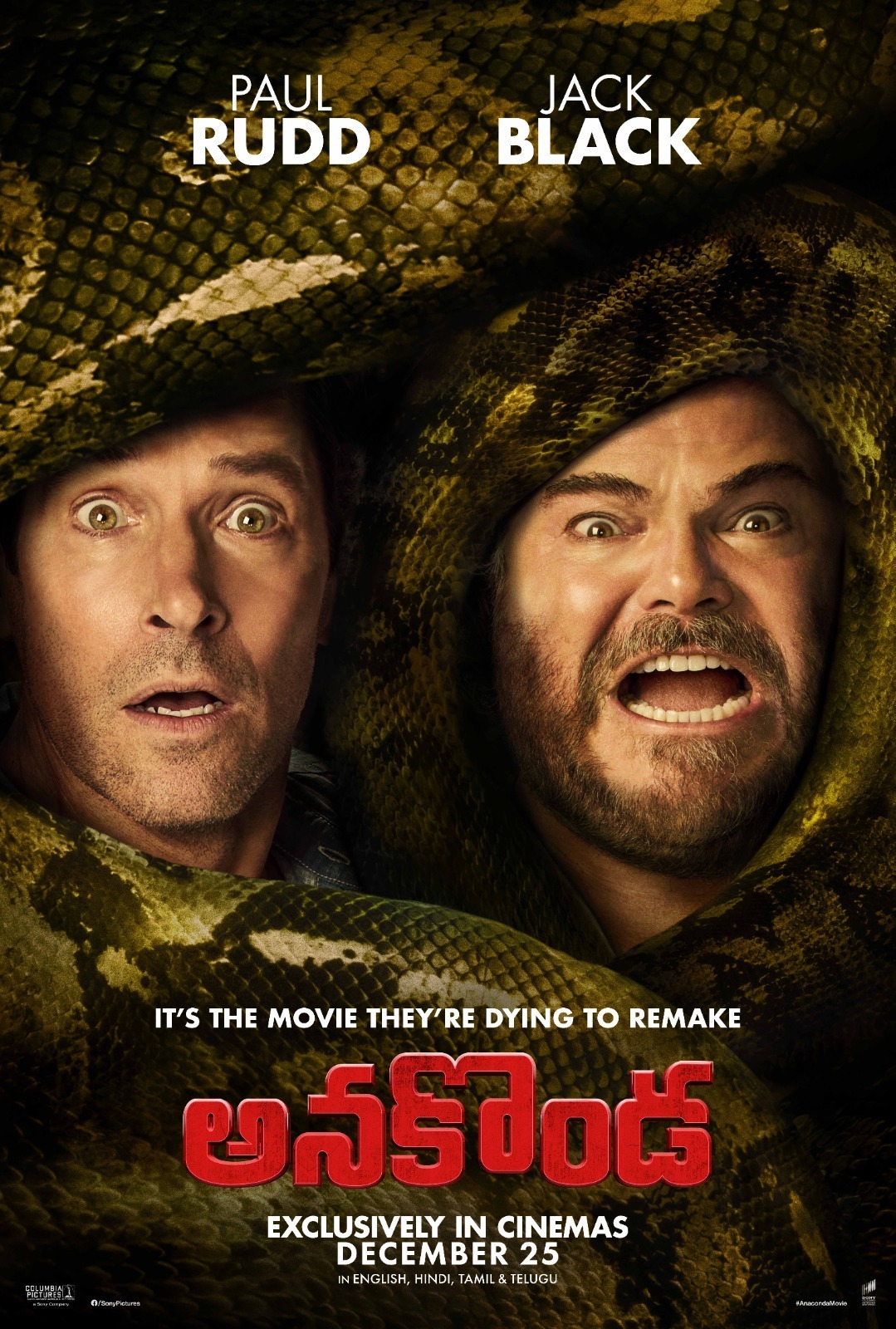 Anaconda