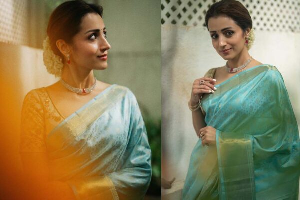 Trisha Krishnan First Post After Vijay’s Oath Ceremony as CM Of Tamil Nadu