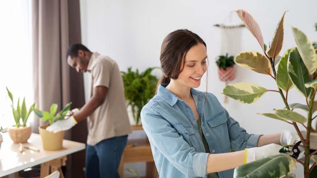 10 Easy Sustainable Living Habits Beginners Can Start Today